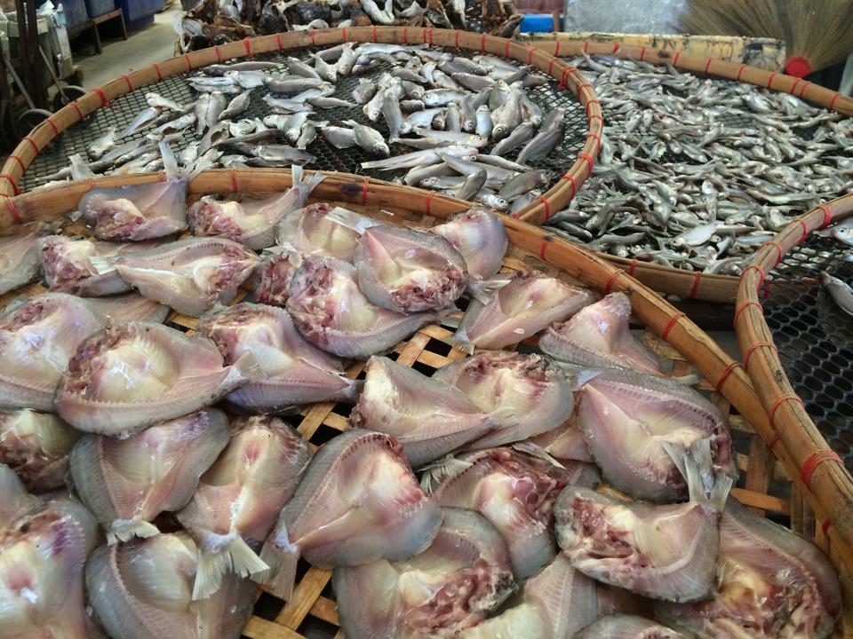 22956_ปลาแดดเดียว.jpg