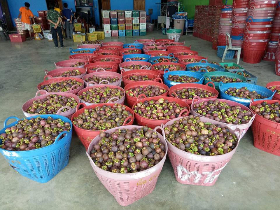 67897_สินค้าในตลาด.jpg