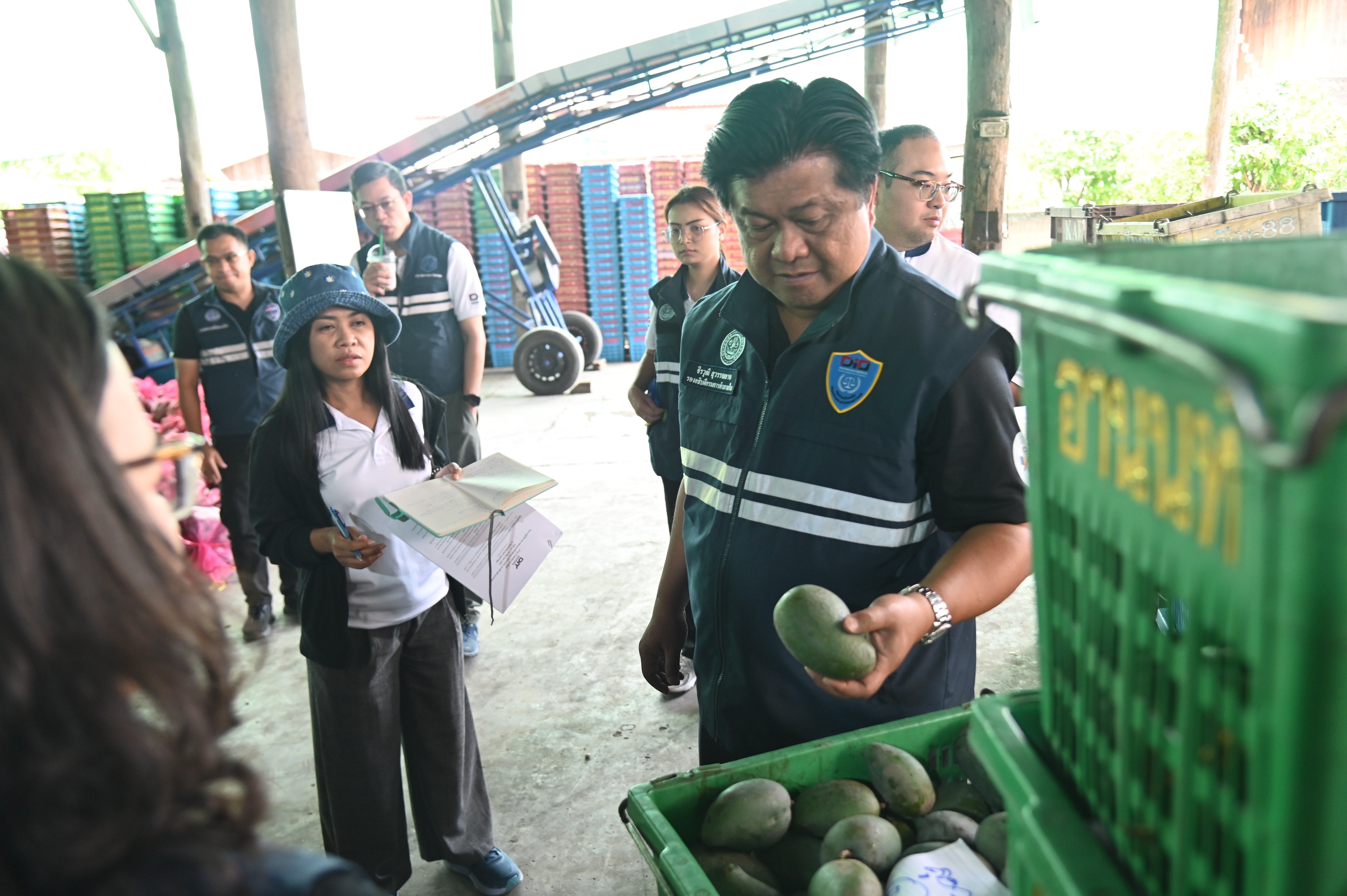 DIT ลงพื้นที่เชียงหม่ - ลำพูน  ติดตามการรับซื้อหอมหัวใหญ่  พร้อมติดตามสถานการณ์ ผลผลิตลำไยและมะม่วง