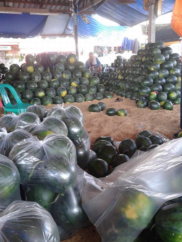 21988_แตงโม.jpg