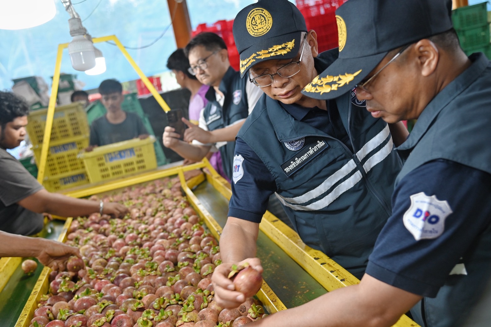 ลงพื้นที่ตรวจสอบกำกับดูแลการรับซื้อสินค้าเกษตรและตรวจสอบการปฏิบัติตามกฏหมายของผู้ประกอบการปาล์มน้ำมันและมังคุด