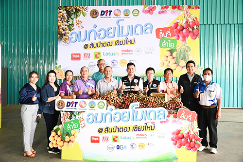 อมก๋อยโมเดลเชียงใหม่