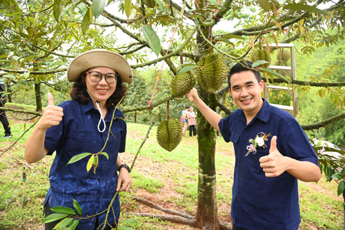 พาณิชย์ลงพื้นที่ติดตามสถานการณ์ผลไม้ภาคใต้ พร้อมร่วมงานวันเปิดฤดูเก็บเกี่ยวผลผลิตทุเรียน จังหวัดชุมพร 