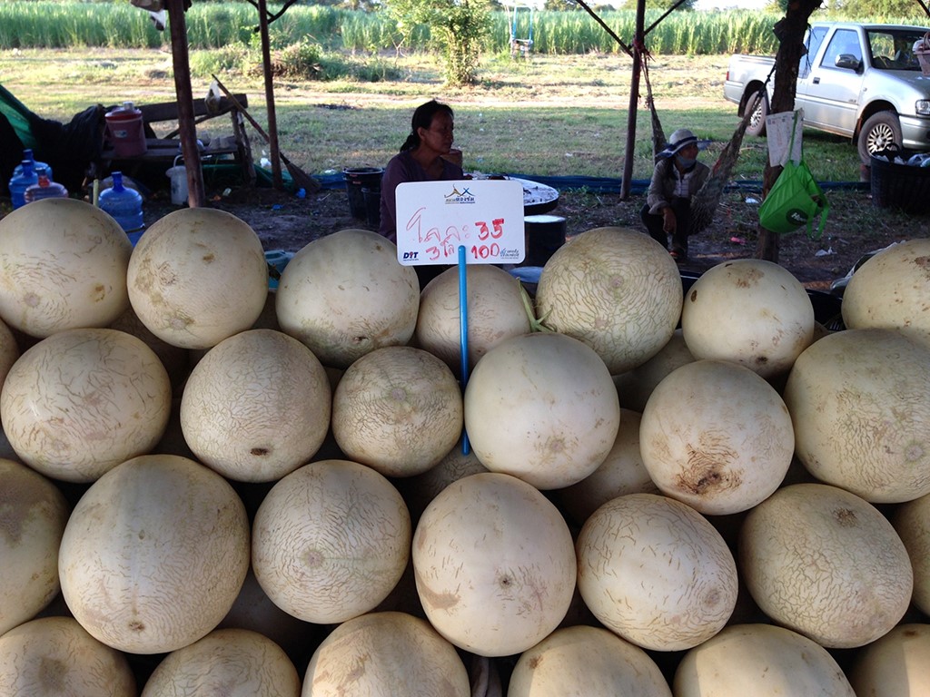11459_สินค้า แคนตาลูฟ.jpg