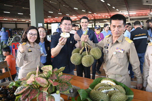 พาณิชย์ติดตามสถานการณ์ทุเรียนในพื้นที่จังหวัดชุมพร