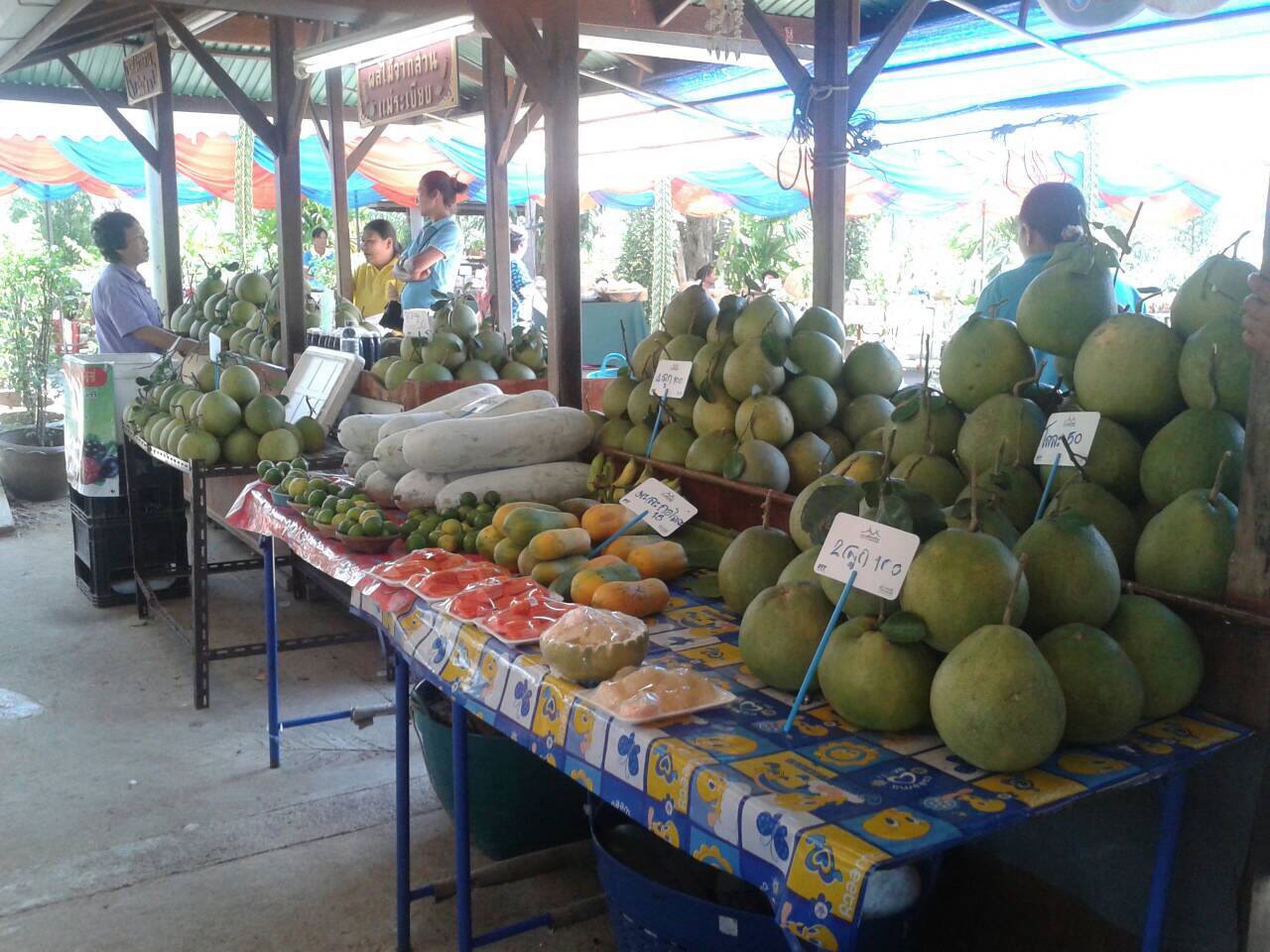 616_สินค้า 1.JPG