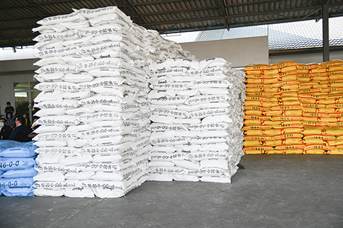 เกษตรกรเฮ! ซื้อปุ๋ยจากโรงงานในราคาที่ถูกลง