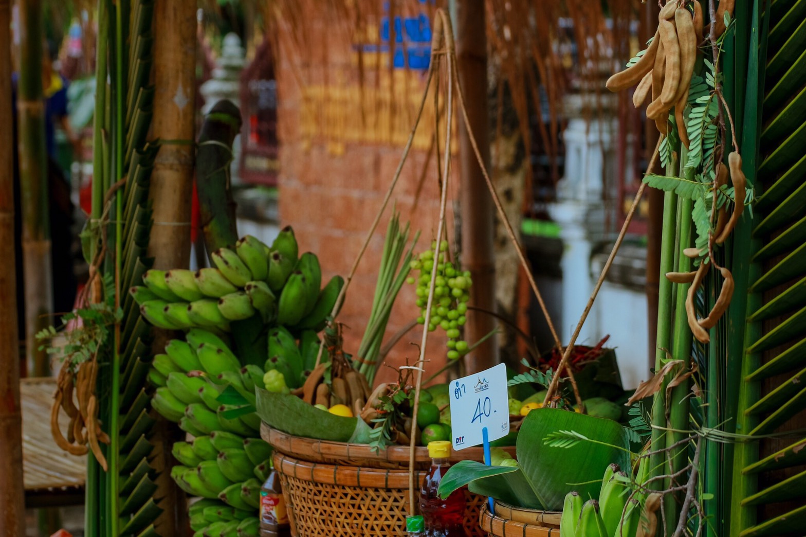 46580_ร้านขายผลไม้.JPG