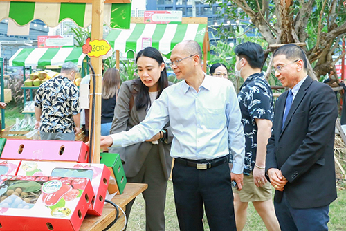 Organic Weekend Market Season 2