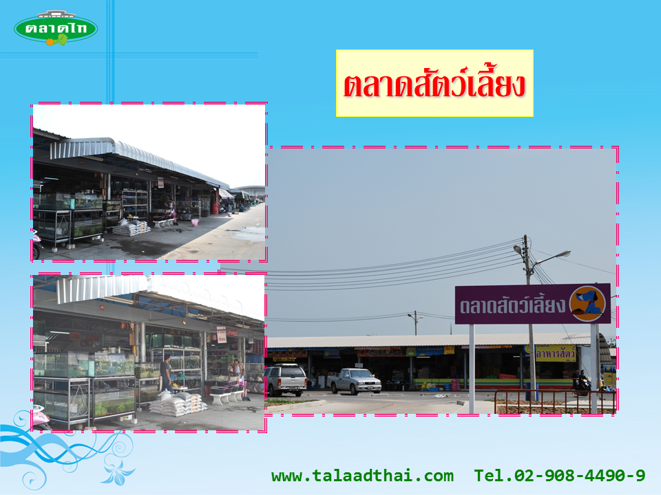 45128_ตลาดสัตว์เลี้ยง.PNG