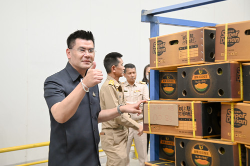 พาณิชย์ติดตามสถานการณ์ทุเรียนในพื้นที่จังหวัดชุมพร