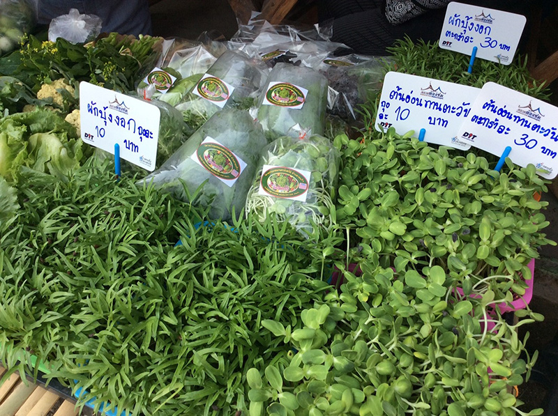 45415_แผงค้า ผัก.jpg