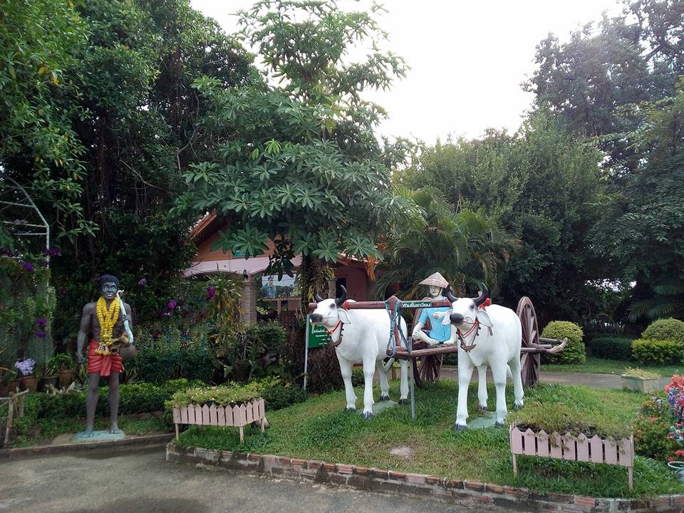 67608_ที่ถ่ายภาพ.jpg
