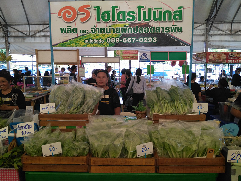 45344_แผงค้า ผลไม้.jpg