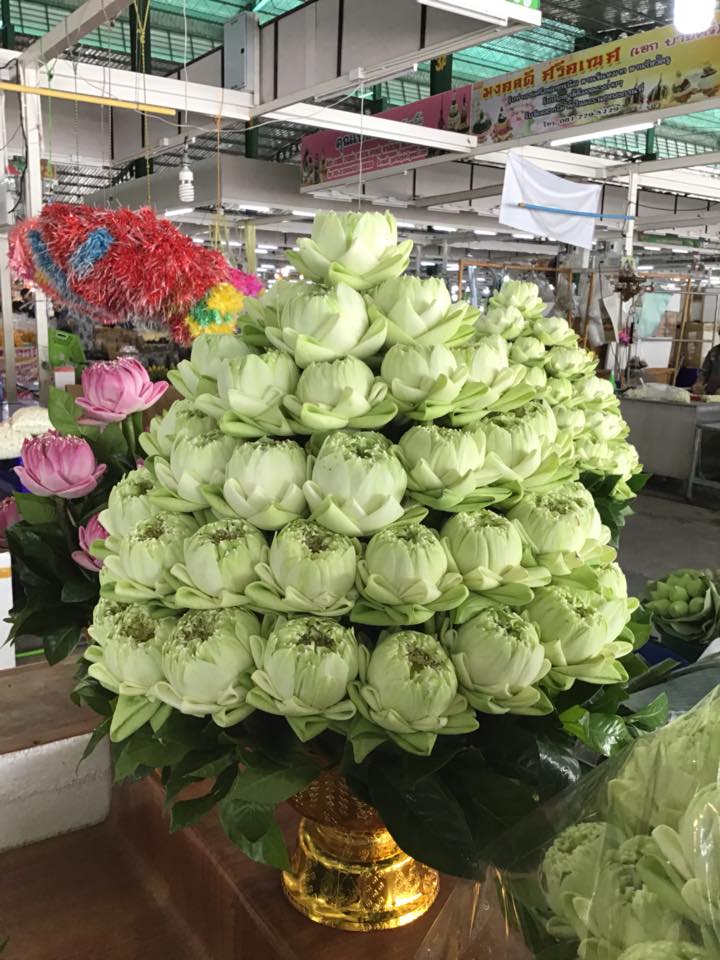 78141_แผงค้าไม้ดอก.jpg