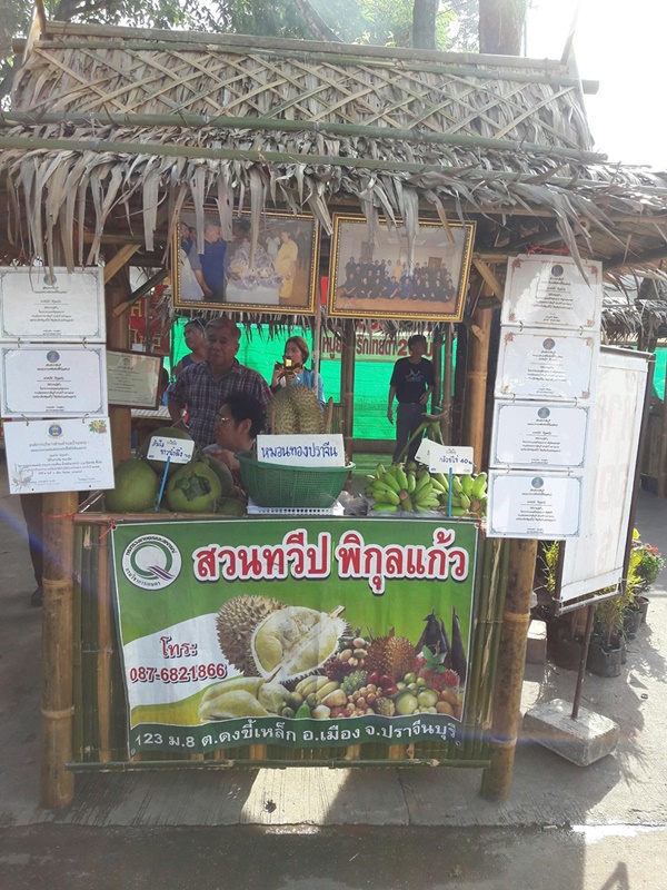 23054_แผงค้า.jpg