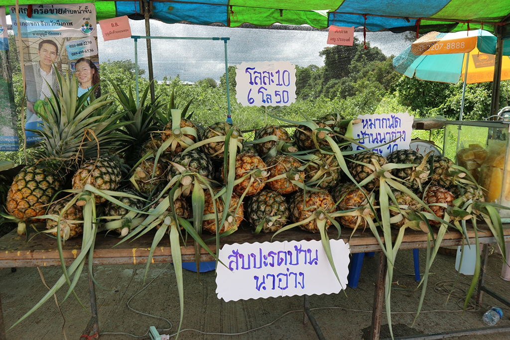 67698_แผงค้าผลไม้.jpg