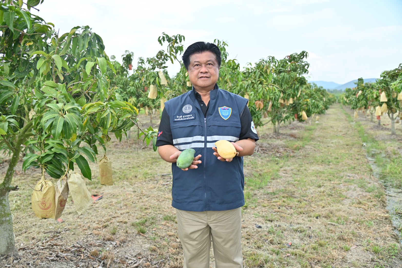 ข่าวเลขที่ 132/2569 กรมการค้าภายใน ลงพื้นที่ลำพูน–เชียงใหม่ ติดตามสถานการณ์ “มะม่วง–ลำไย” เร่งวางมาตรการบริหารจัดการล่วงหน้า เชื่อมโยงตลาด–กระจายผลผลิต รักษาเสถียรภาพราคา (6 พฤษภาคม 2569)
