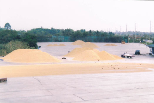 95_ลานตาก.jpg