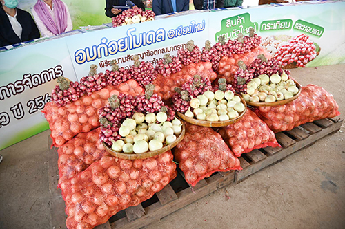 พาณิชย์ขับเคลื่อนมาตรการจัดการพืช 3 หัว