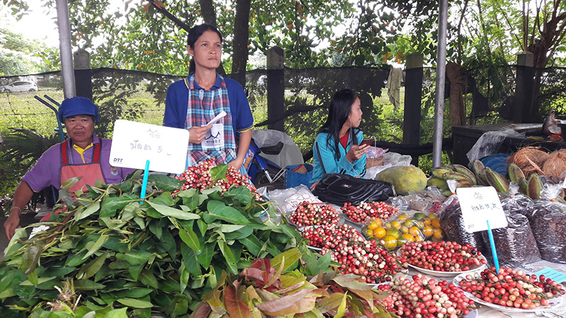 46321_แผงค้า ผัก.jpg