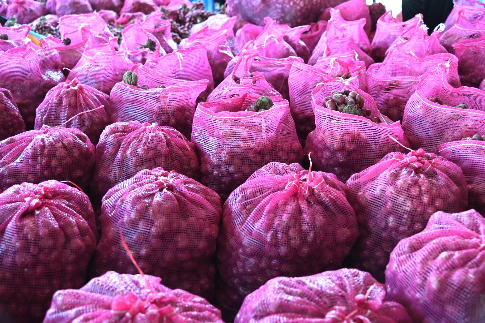 DIT ลงพื้นที่ตรวจเยี่ยมกิจกรรมการกระจายหอมแดงจังหวัดศรีสะเกษ