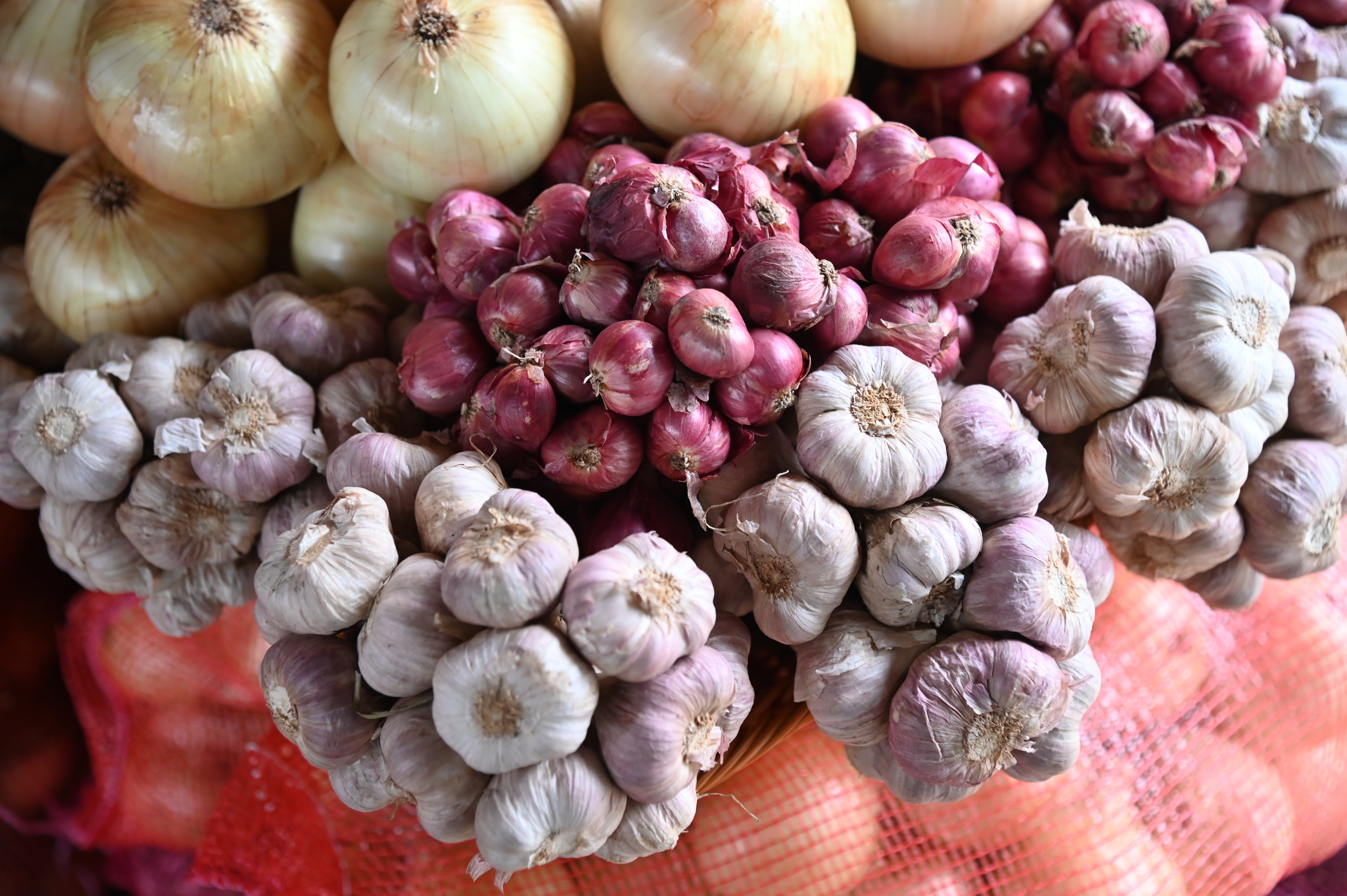 ข่าวเลขที่ 69/2569 พาณิชย์พาเอกชนรับซื้อตรงจากสวน “หอม–กระเทียม–หอมหัวใหญ่” ล็อตแรกกว่า 7,000 ตัน ผ่านตลาดข้อตกลง (5 กุมภาพันธ์ 2569)