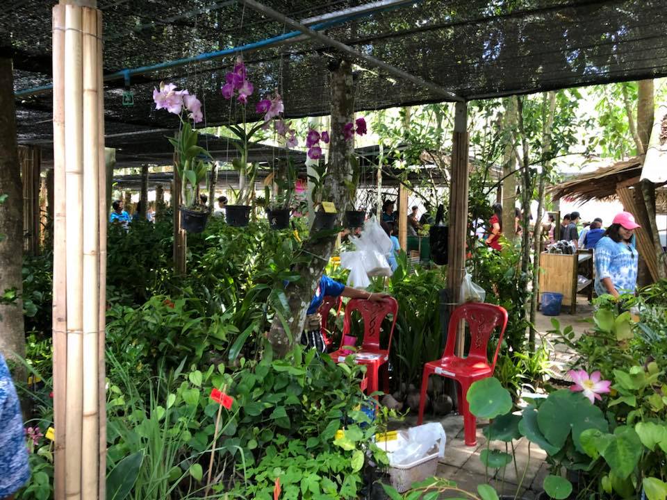 78072_แผงค้าต้นไม้.jpg