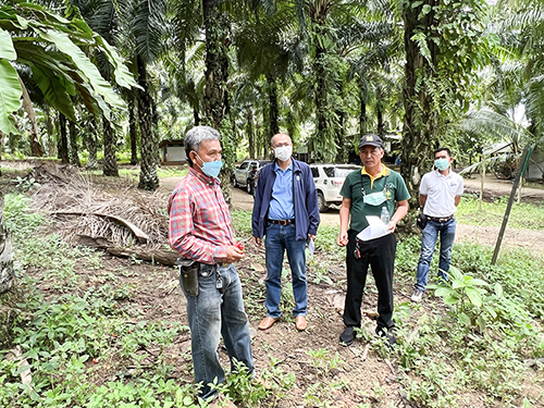 กรมการค้าภายในติดตามการดำเนินการตามมติคณะอนุกรรมการบริหารจัดการสมดุลน้ำมันปาล์ม