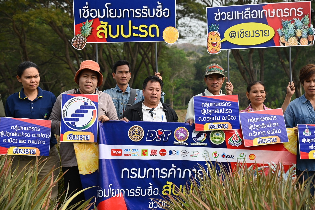 ติดตามการรับซื้อสับปะรดภูแล 16,500 ตัน จ.เชียงราย