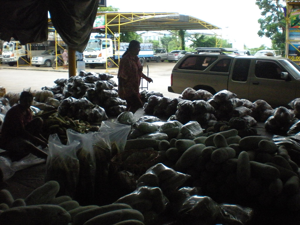 22186_ขายส่งผัก.JPG