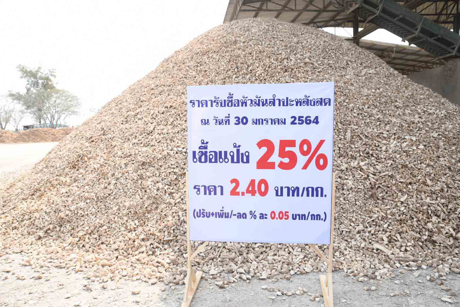 อธิบดีร่วมลงพื้นที่ติดตามสถานการณ์ราคารับซื้อมันสำปะหลัง