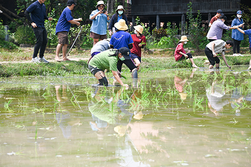 โครงการสืบสานพระปณิธานกษัตริย์เกษตรตามหลักเศรษฐกิจพอเพียง