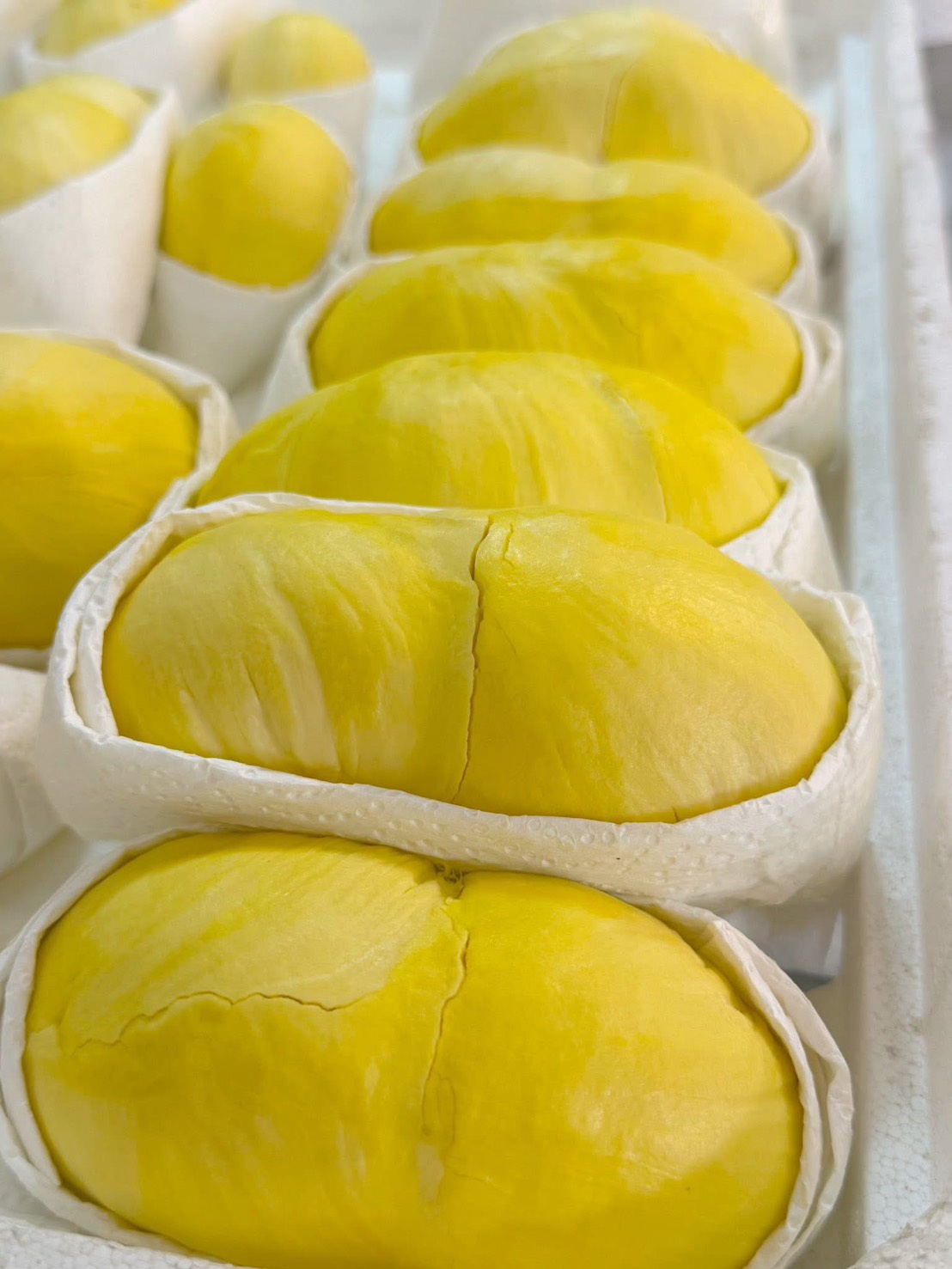 ข่าวเลขที่ 63/2569 พาณิชย์ เกาะติดสถานการณ์ทุเรียนไทย เดินหน้าสำรวจความต้องการตลาด เตรียมแคมเปญยกระดับภาพลักษณ์ทุเรียนคุณภาพ สร้างความเชื่อมั่นผู้บริโภค (23 มกราคม 2568)