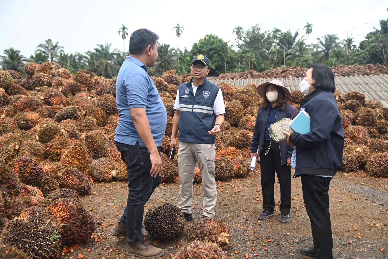พาณิชย์ลงพื้นที่ภาคใต้ ตรวจสอบสถานการณ์รับซื้อผลปาล์มน้ำมัน