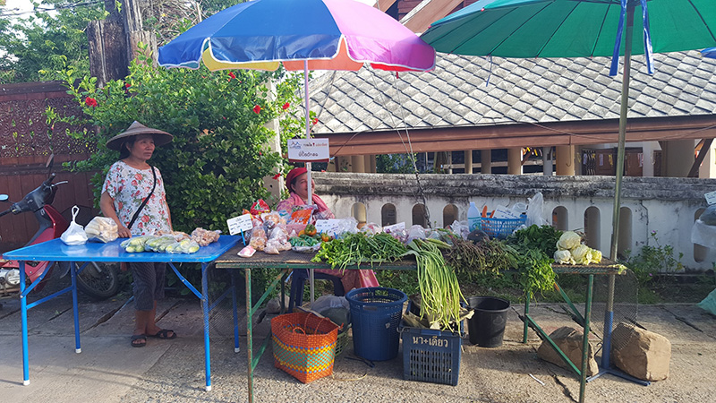 46056_ร้านขายผัก 2.jpg