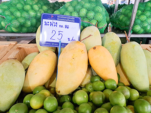 พาณิชย์นำ "มะนาว-มะม่วง" ขายผู้บริโภค @ตลาด Yes บางพลี และโมบายพาณิชย์