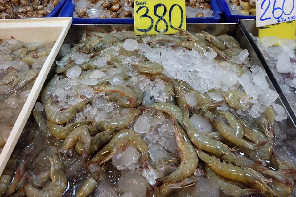 45149_แผงค้า อาหารทะเล กุ้ง.jpg