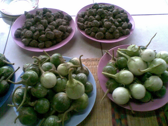 44142_แผงค้า ผัก.jpg