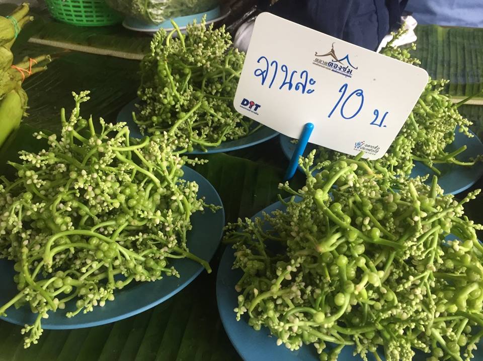 67880_แผงค้าผัก.jpg
