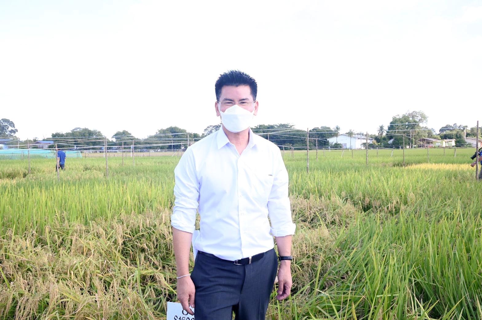 อธิบดีร่วมติดตามการดำเนินการตามยุทธศาสตร์ข้าวไทย ปี 2564-2567