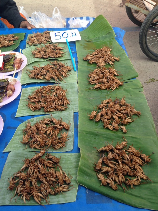 22627_แผงค้า ผัก.jpg