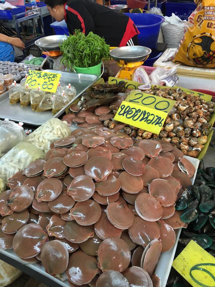 22657_แผงค้า อาหารทะเล.jpg