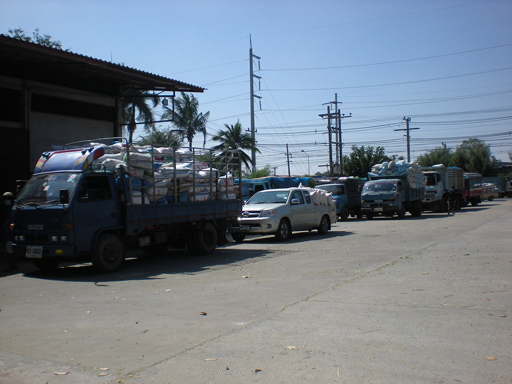 22315_รับซื้อข้าว.JPG
