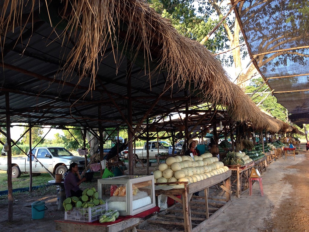 11460_สินค้า การวางสินค้า.jpg