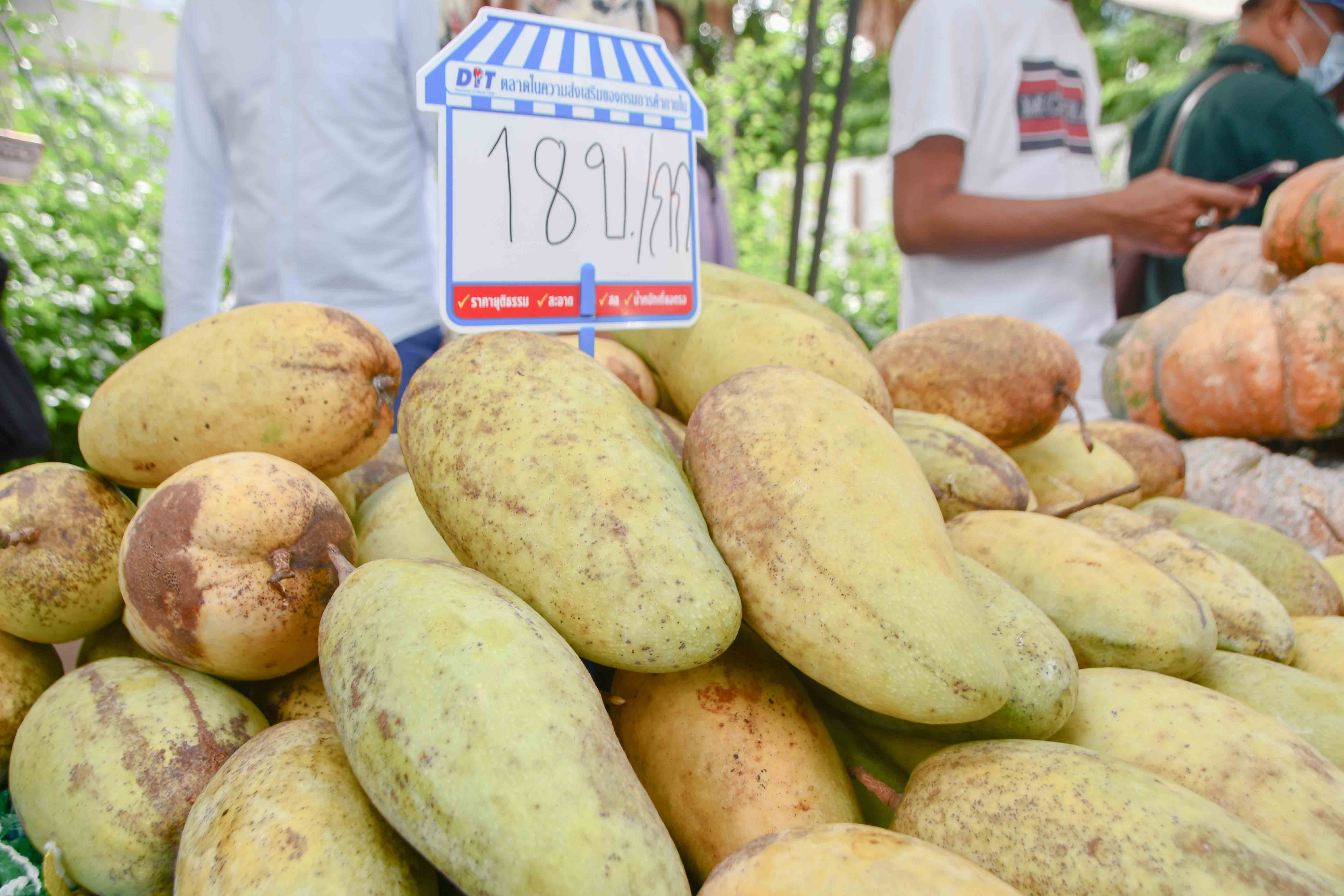 อธิบดีกรมการค้าภายใน ติดตามโครงการจำหน่ายสินค้าราคาถูกให้ประชาชน