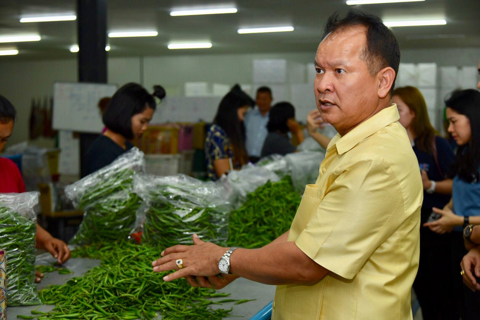 ลงพื้นที่เพื่อตรวจติดตามสถานการณ์ผัก ณ ตลาดกลางศรีเมือง 