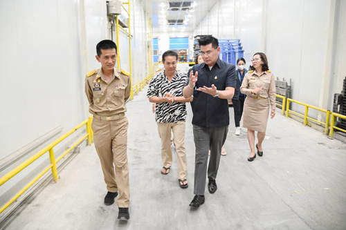 พาณิชย์ติดตามสถานการณ์ทุเรียนในพื้นที่จังหวัดชุมพร