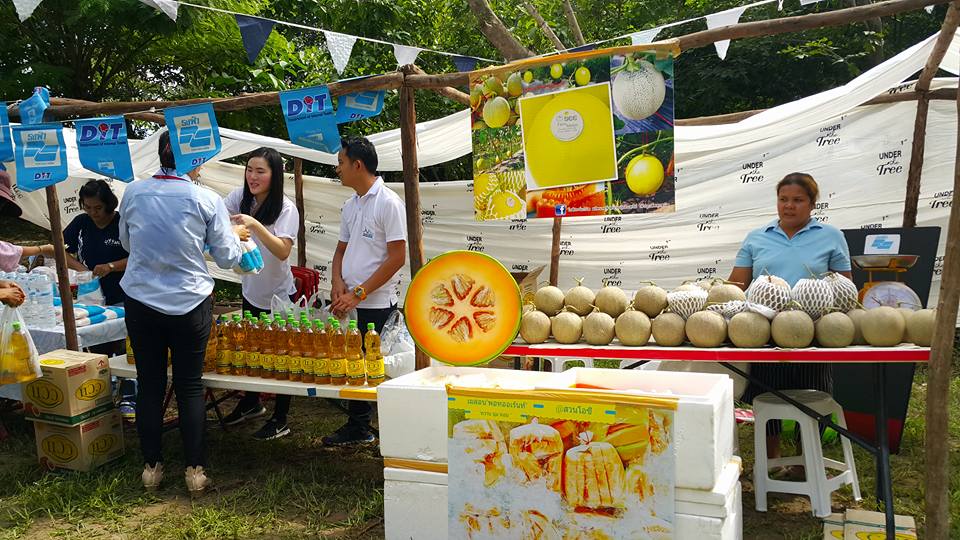 21605_แผงค้า สินค้าธงฟ้า.jpg