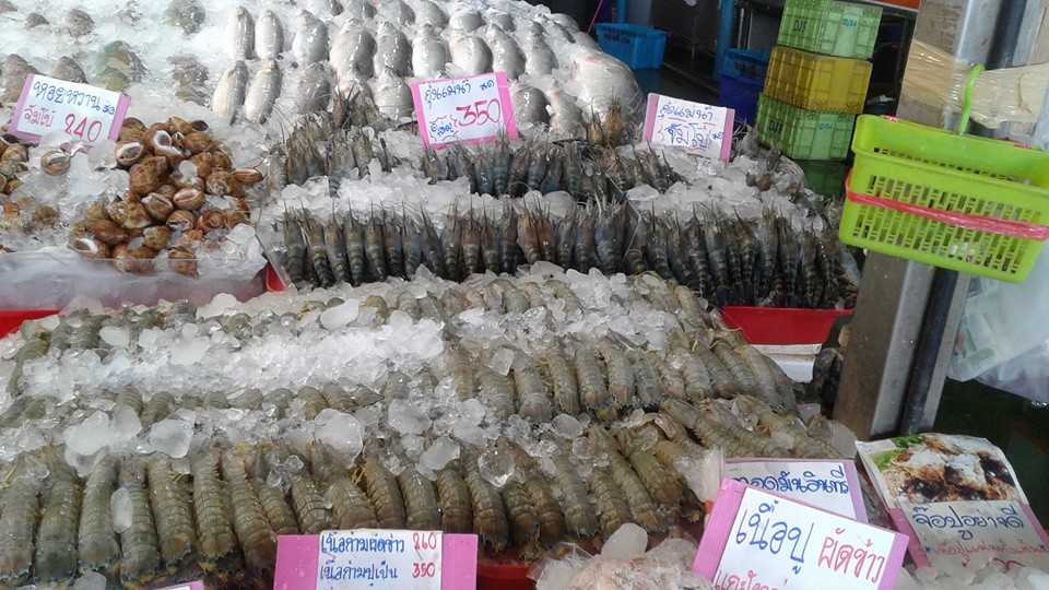45145_แผงค้า อาหารทะเล กั้ง.jpg